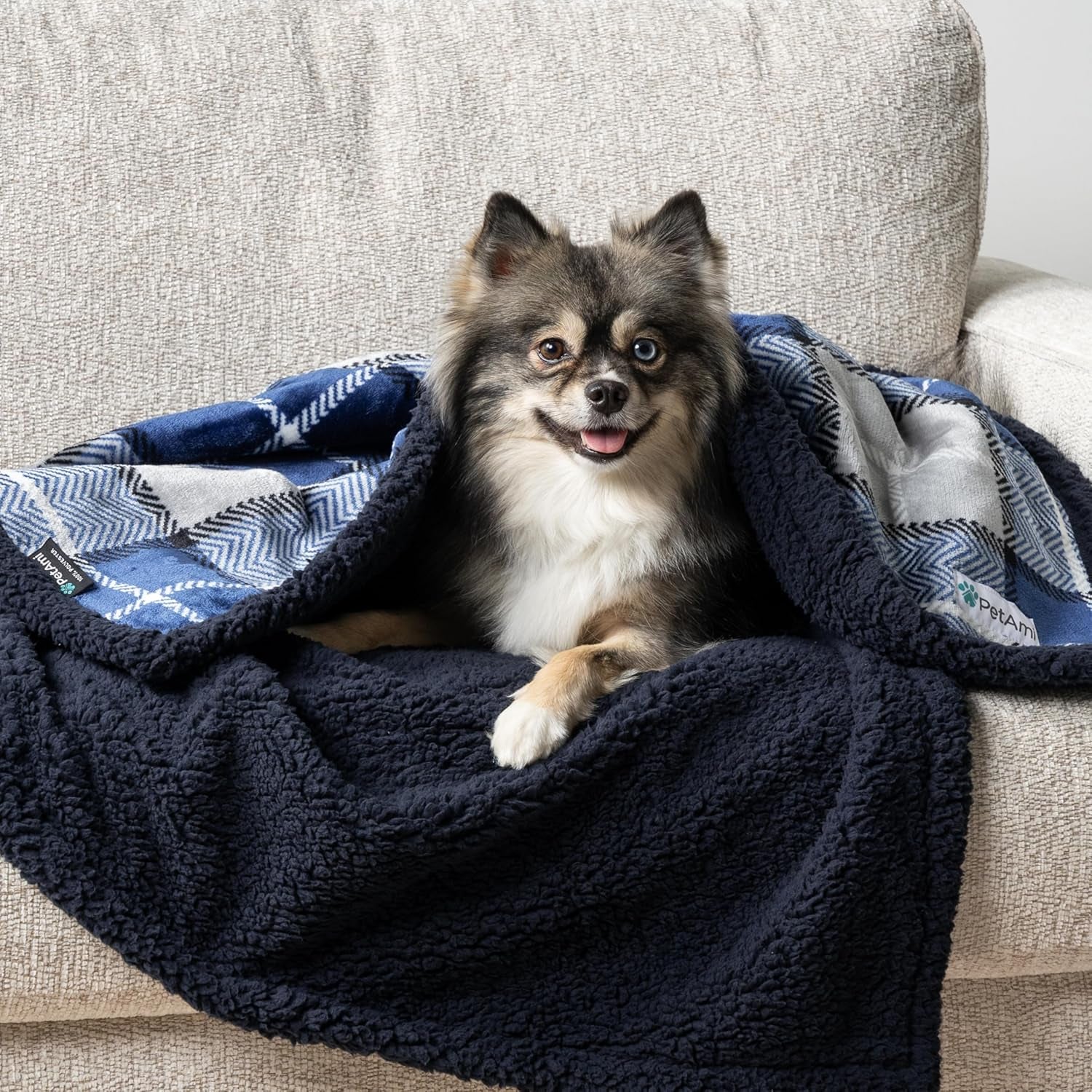 Waterproof Dog Blanket for Couch, Pee Proof Sherpa Fleece Reversible Pet Throw, Furniture Protector for Bed Sofa Kennel, Soft Washable Cover for Small Medium Dog Puppy Cat, 29X40 Plaid Blue